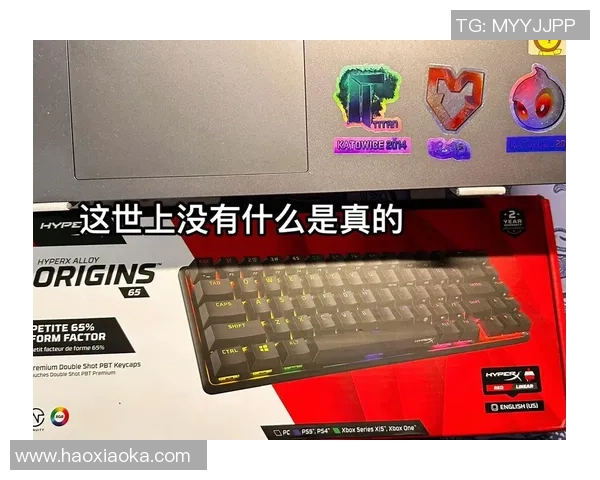 CSGO装备选购指南：如何选择适合你的游戏键盘推荐