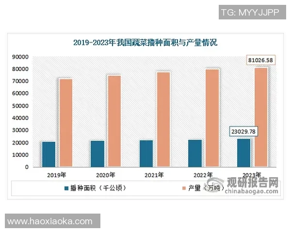 成都滑板队意识表现的深度数据分析与探索研究