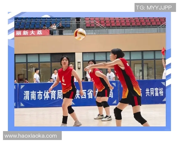 重庆排球队的奋斗与荣耀:一段排球精神的真实纪实之旅