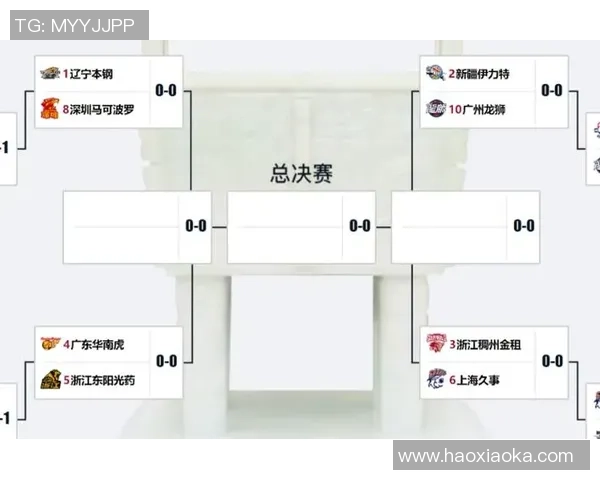 2017年CBA季后赛辽宁队对阵广厦队精彩回顾与赛后分析